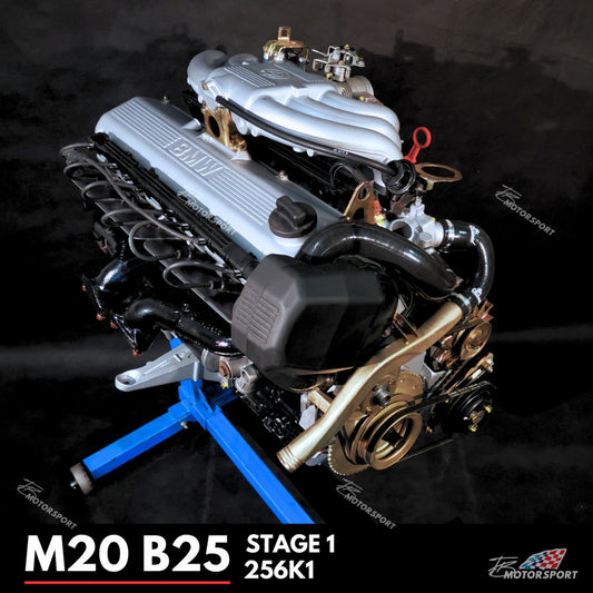 M20 B25 Restauration "STAGE 1" 325i 525i 256K1 Kat version